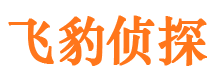 长江新区市出轨取证